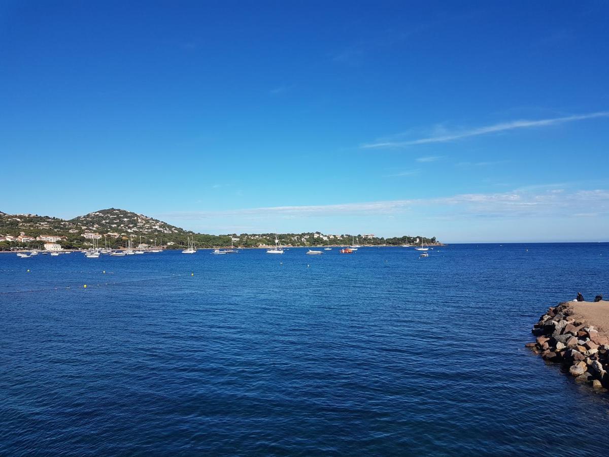 Apartamento Grand T3 - Terrasse Les Pieds Dans L'Eau - Climatisation Saint-Raphaël Exterior foto